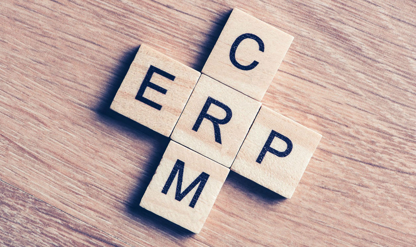 blog-erp-crm-1