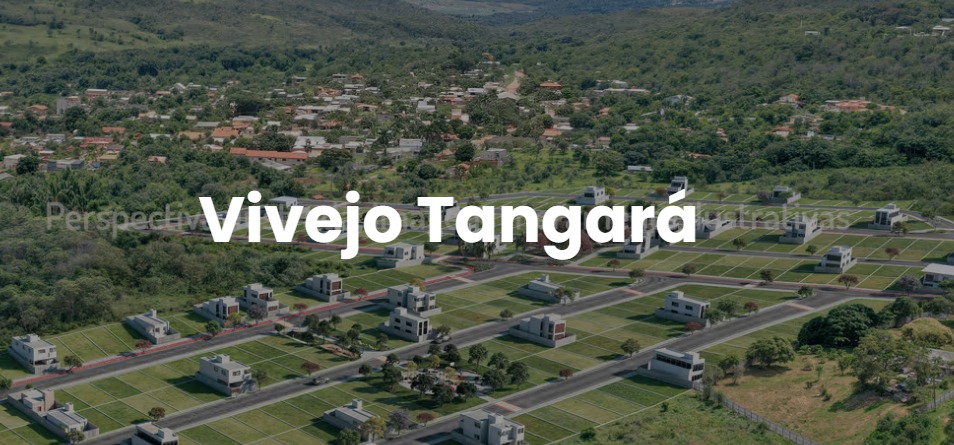 Case Vivejo Tangará: 200 vendas em 30 minutos